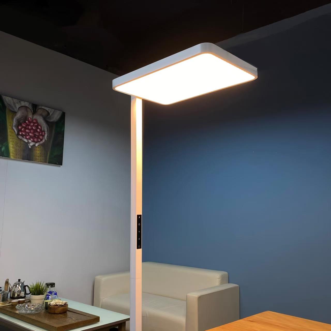 Floor Lamps for Living Room