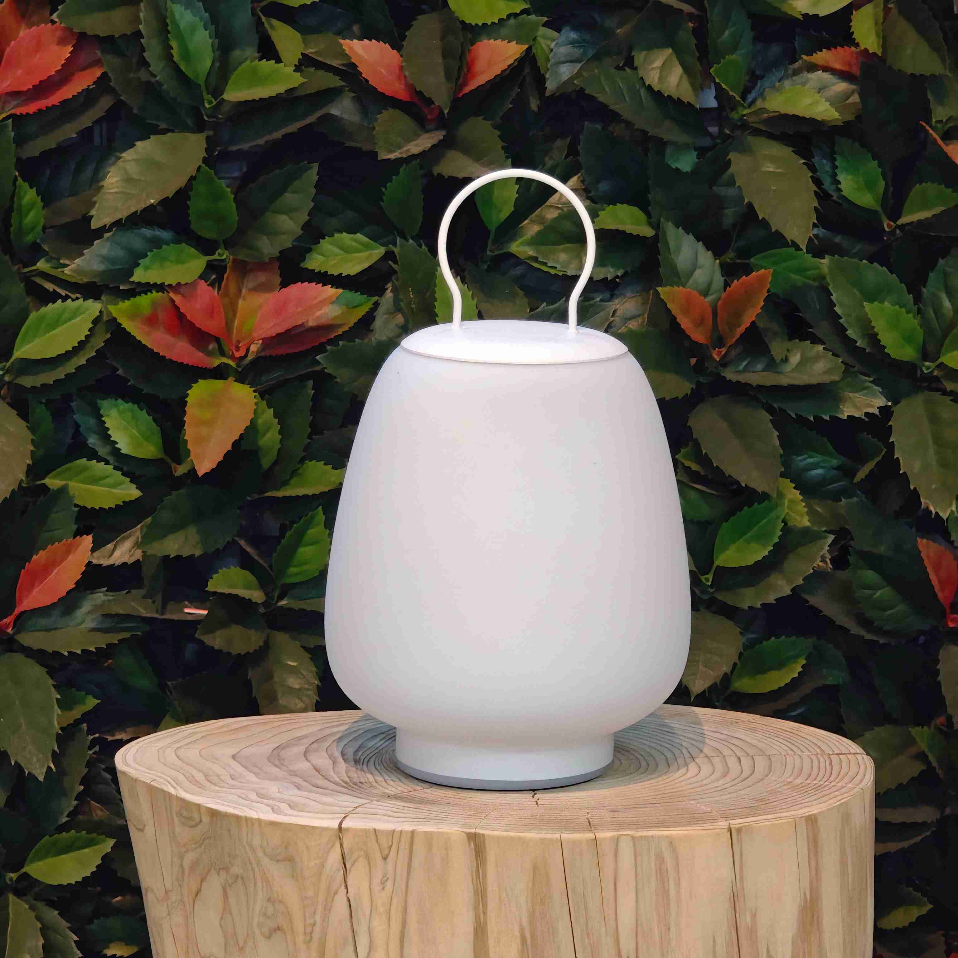 Modern LED Multifunctional Atmosphere Light