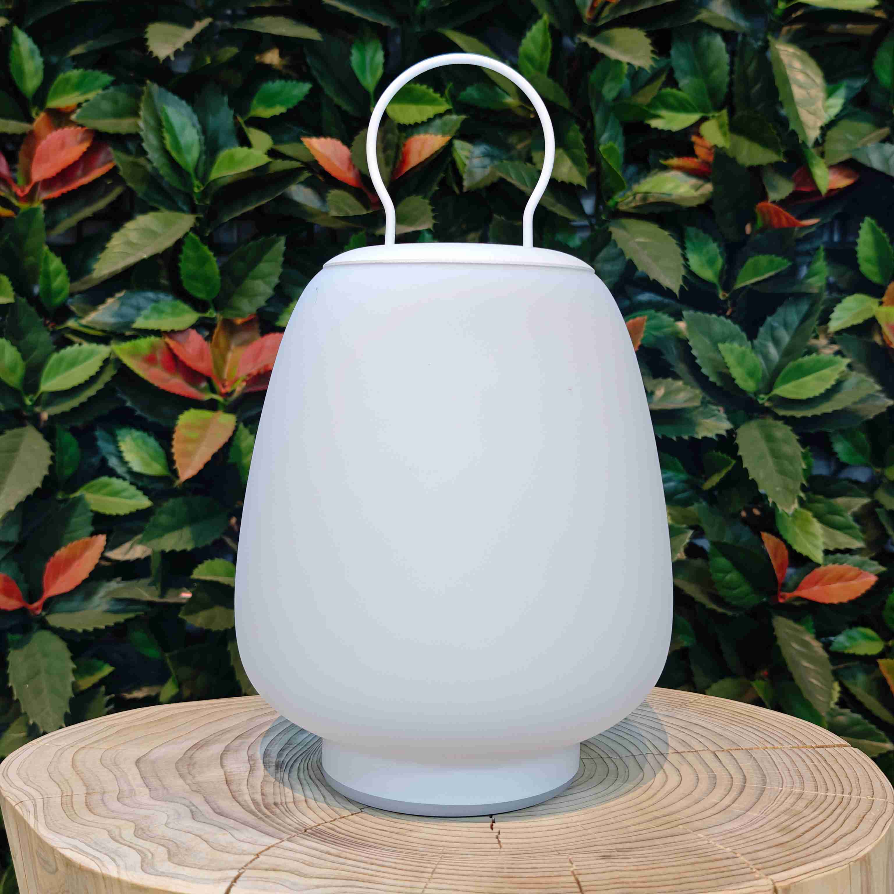 Modern LED Multifunctional Atmosphere Light