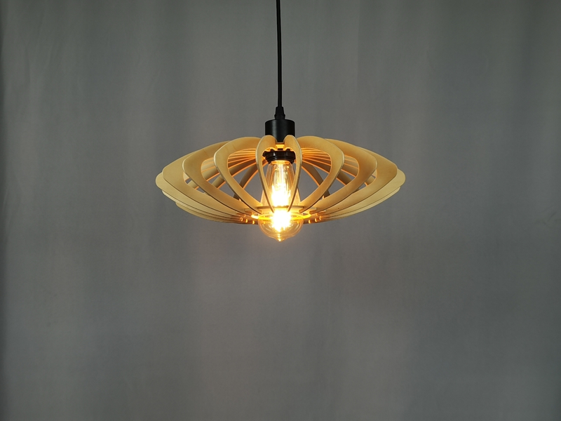 Mingkeda Hot Sales Modern Lights LED Lighting Chandelier Pendant Lampt