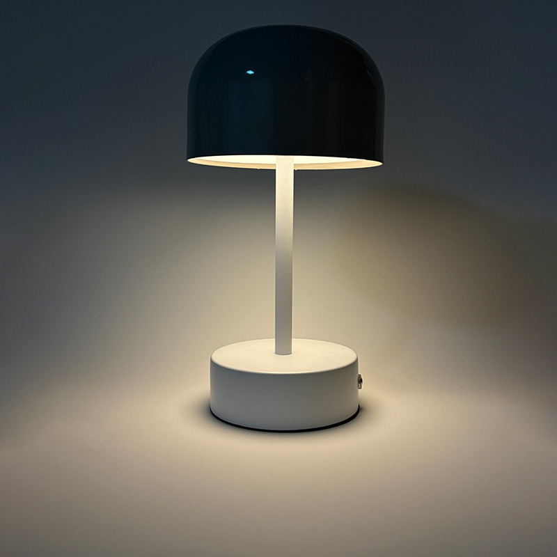 Mingkeda Modern Rechargeable LED Table Lamp with Metal Desk Light USB Powered