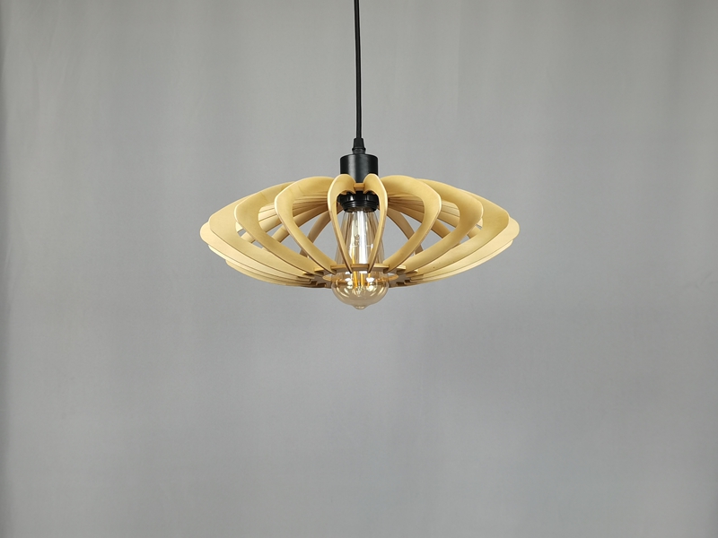 Mingkeda Hot Sales Modern Pendant Lamp
