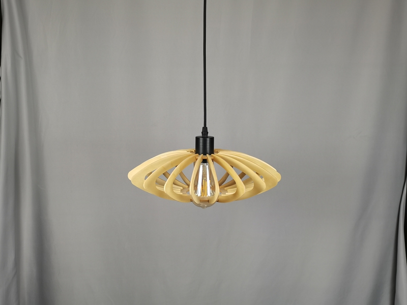 Mingkeda Hot Sales Modern Pendant Lamp