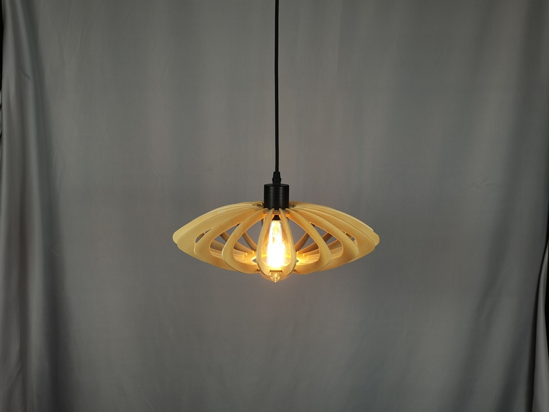 Mingkeda Hot Sales Modern Pendant Lamp