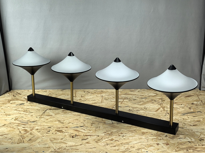 Mingkeda LED Modern Ceiling Light Modern LED Light Celling Lighting Ceiling Lamp