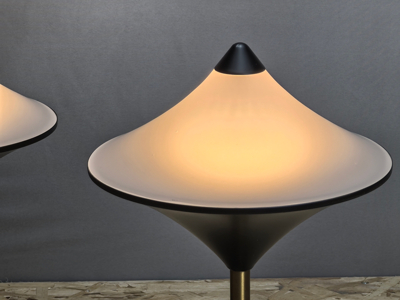 Mingkeda LED Modern Ceiling Light Modern LED Light Celling Lighting Ceiling Lamp