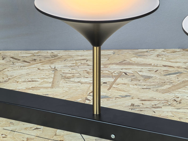 Mingkeda LED Modern Ceiling Light Modern LED Light Celling Lighting Ceiling Lamp