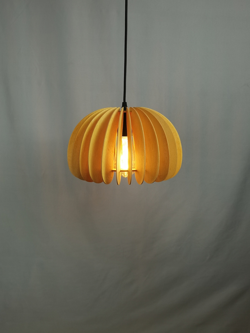 Mingkeda MKDP230326867 Pendant Light