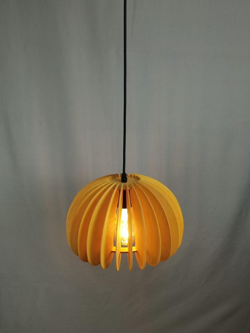 Mingkeda MKDP230326867 Pendant Light