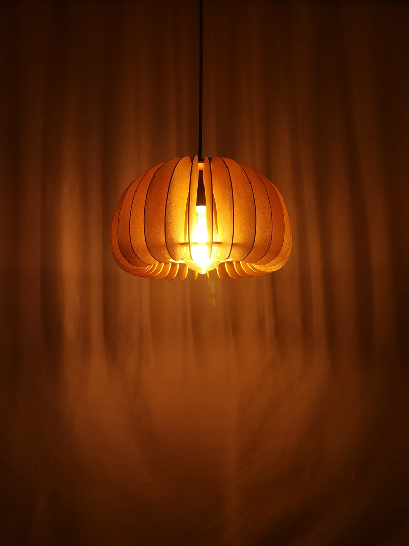Mingkeda MKDP230326867 Pendant Light