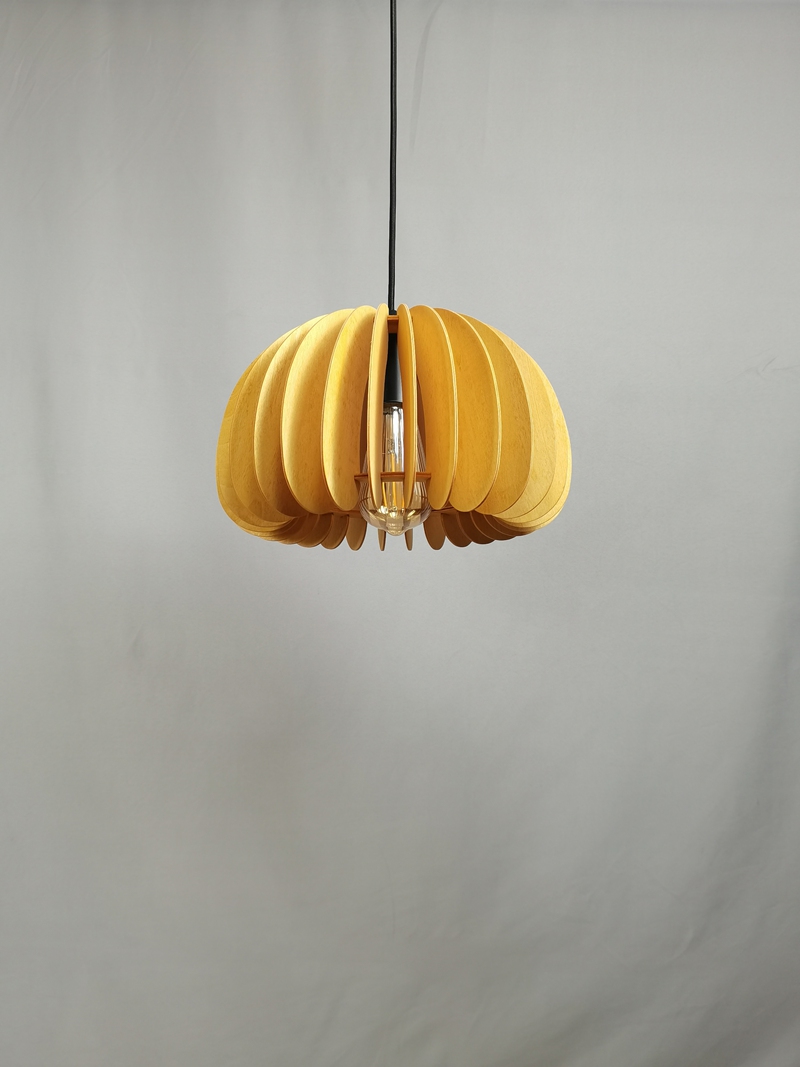 Mingkeda MKDP230326867 Pendant Light
