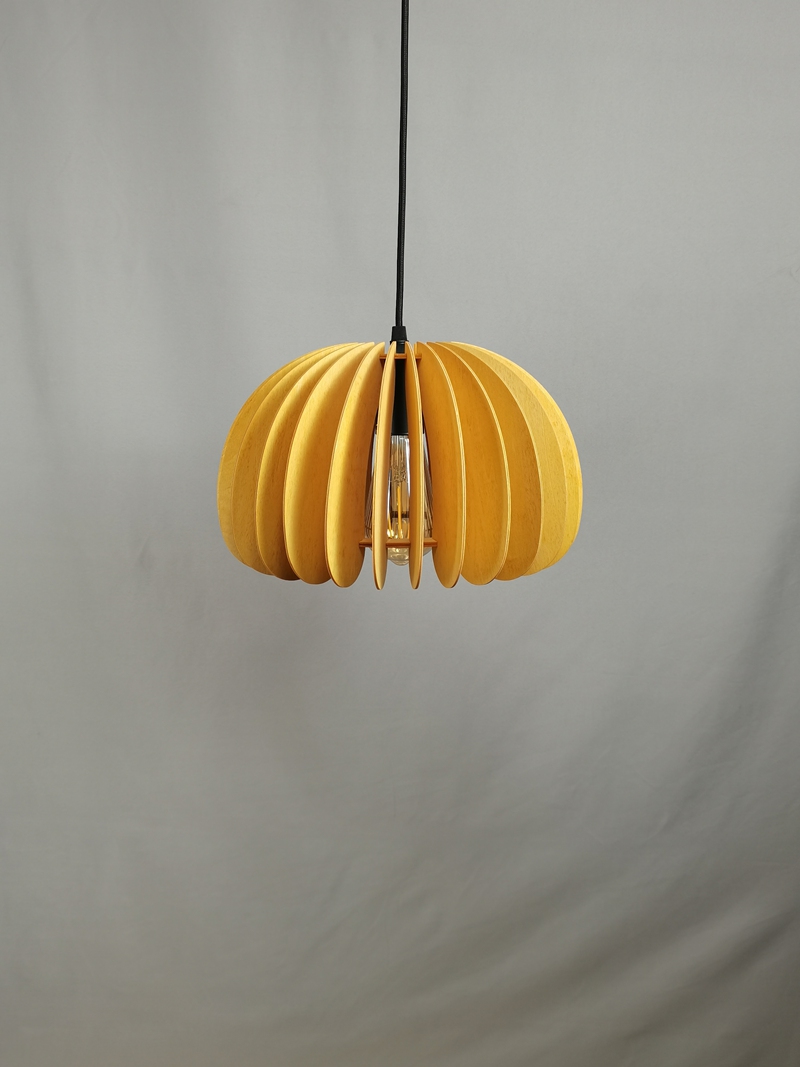 Mingkeda MKDP230326867 Pendant Light