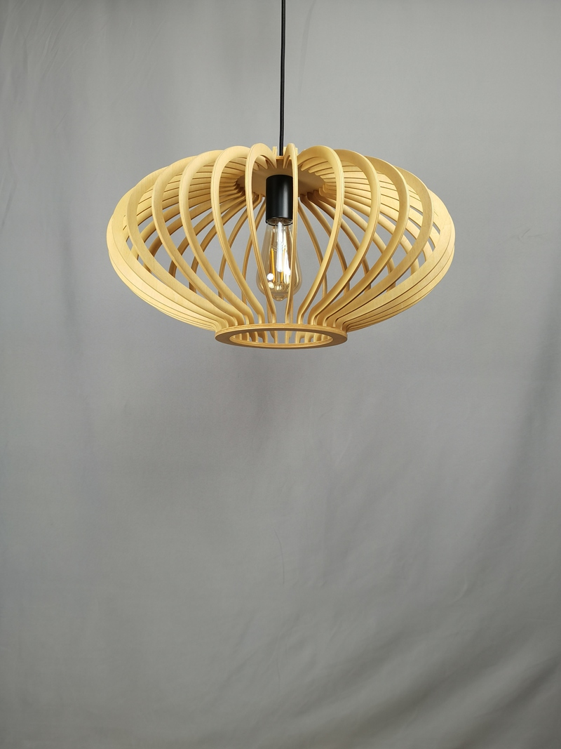 Mingkeda MKDP230326866 Pendant Light