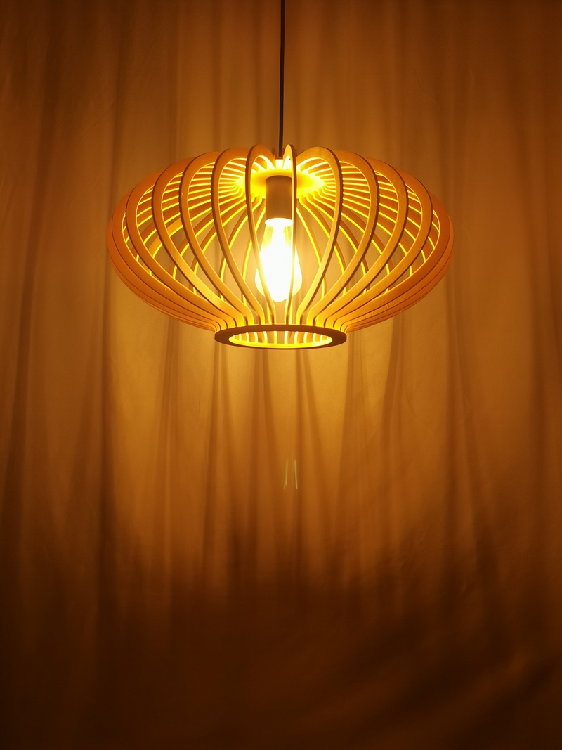 Mingkeda MKDP230326866 Pendant Light