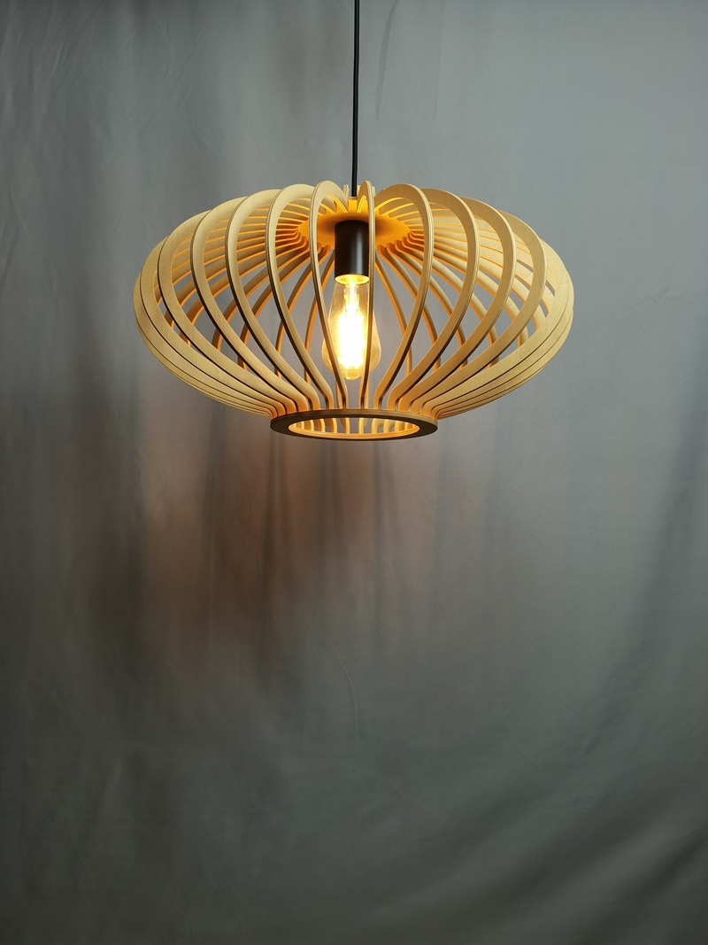 Mingkeda MKDP230326866 Pendant Light