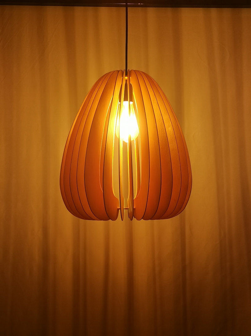 Mingkeda MKDP230326841 Pendant Light