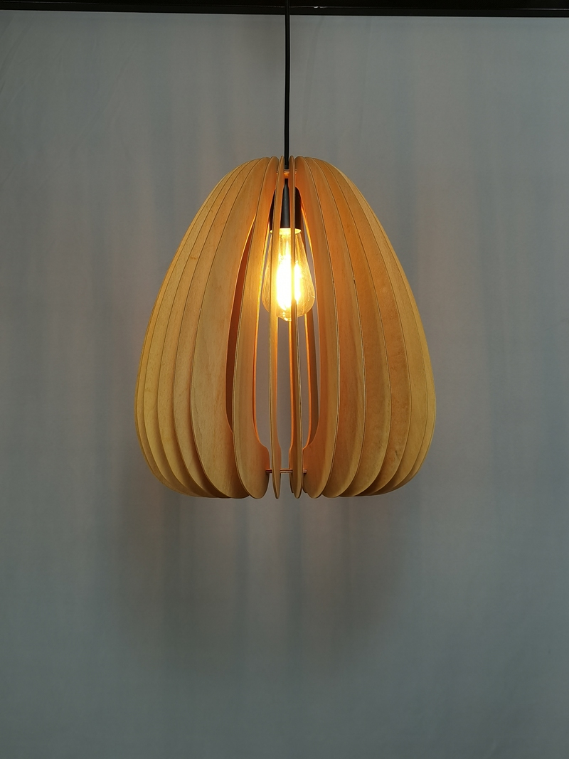 Mingkeda MKDP230326841 Pendant Light