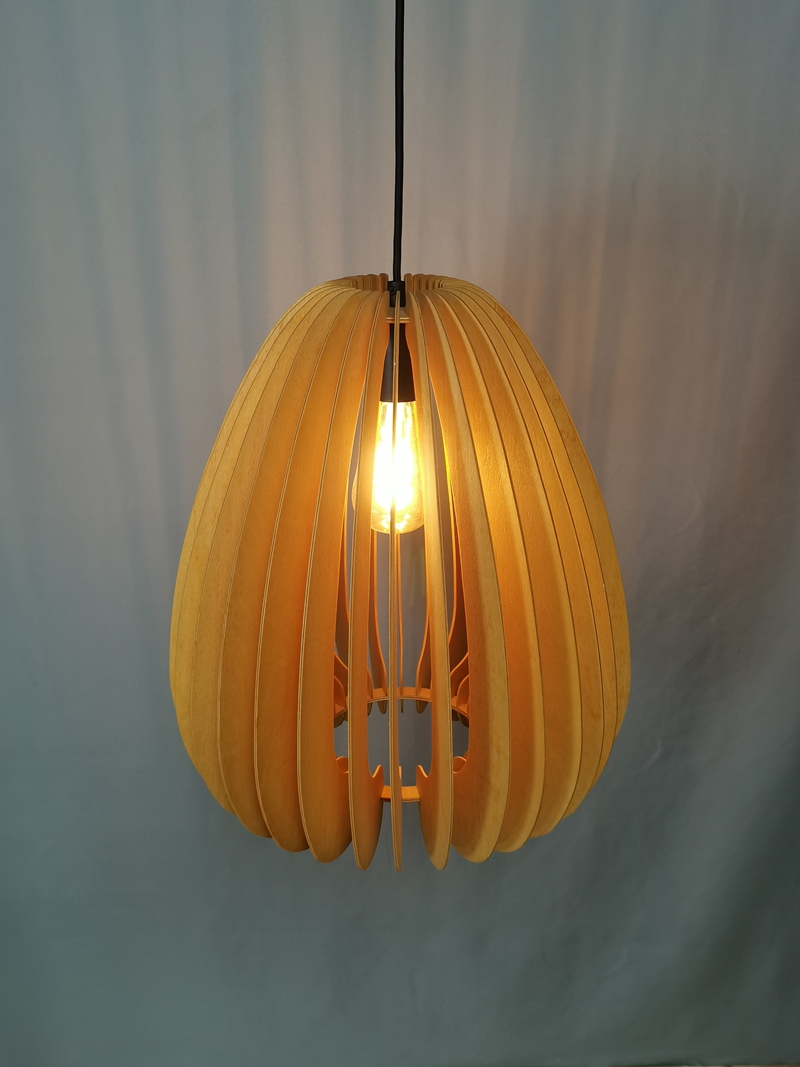 Mingkeda MKDP230326841 Pendant Light