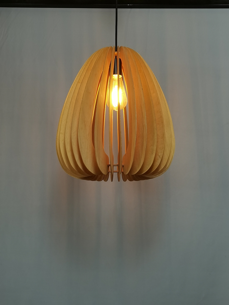 Mingkeda MKDP230326841 Pendant Light