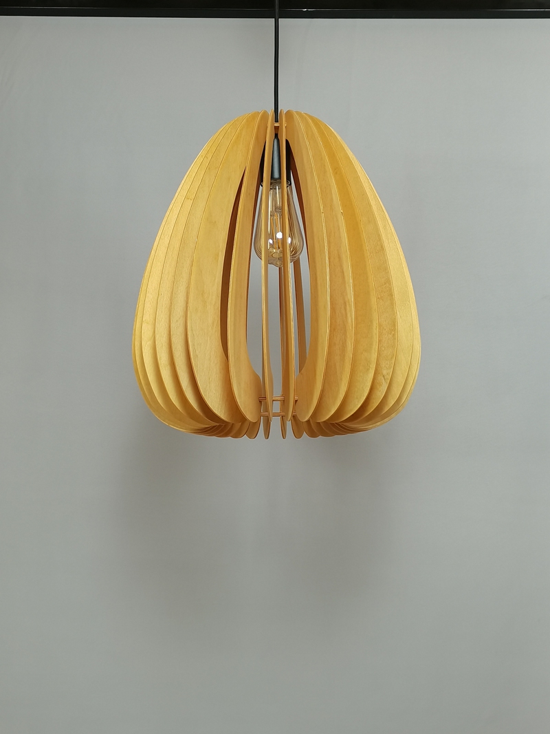 Mingkeda MKDP230326841 Pendant Light