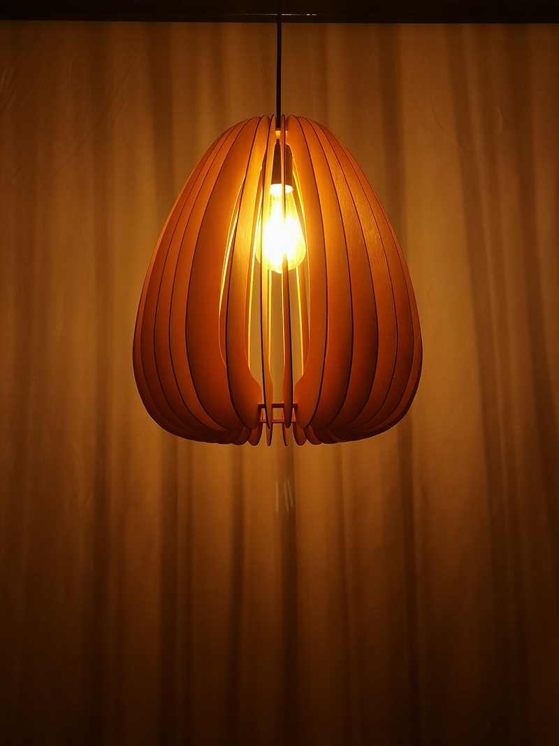 Mingkeda MKDP230326841 Pendant Light