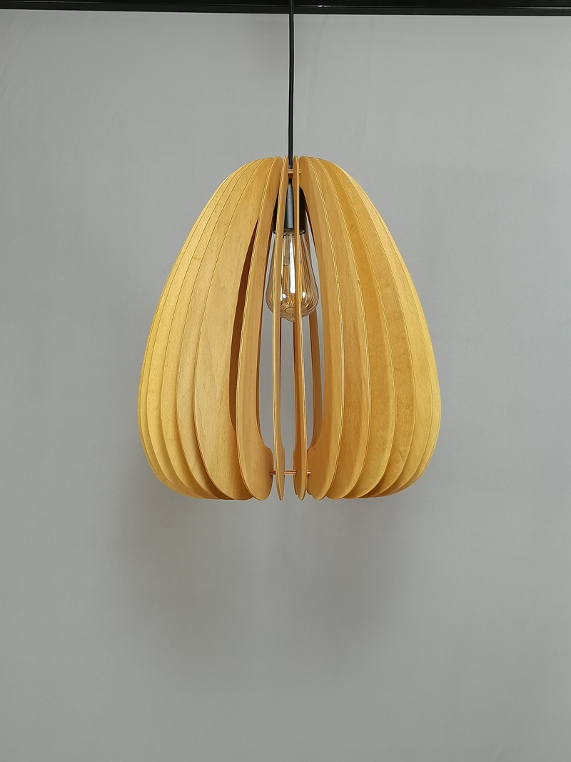 Mingkeda MKDP230326841 Pendant Light